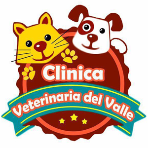 El Directorio Más Completo En Tamaulipas De: Veterinarias, Estéticas ...